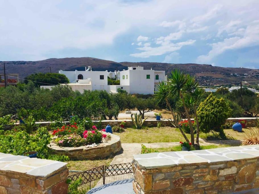Cozy, Newly Renovated Apartment In Gavrio. Exterior photo
